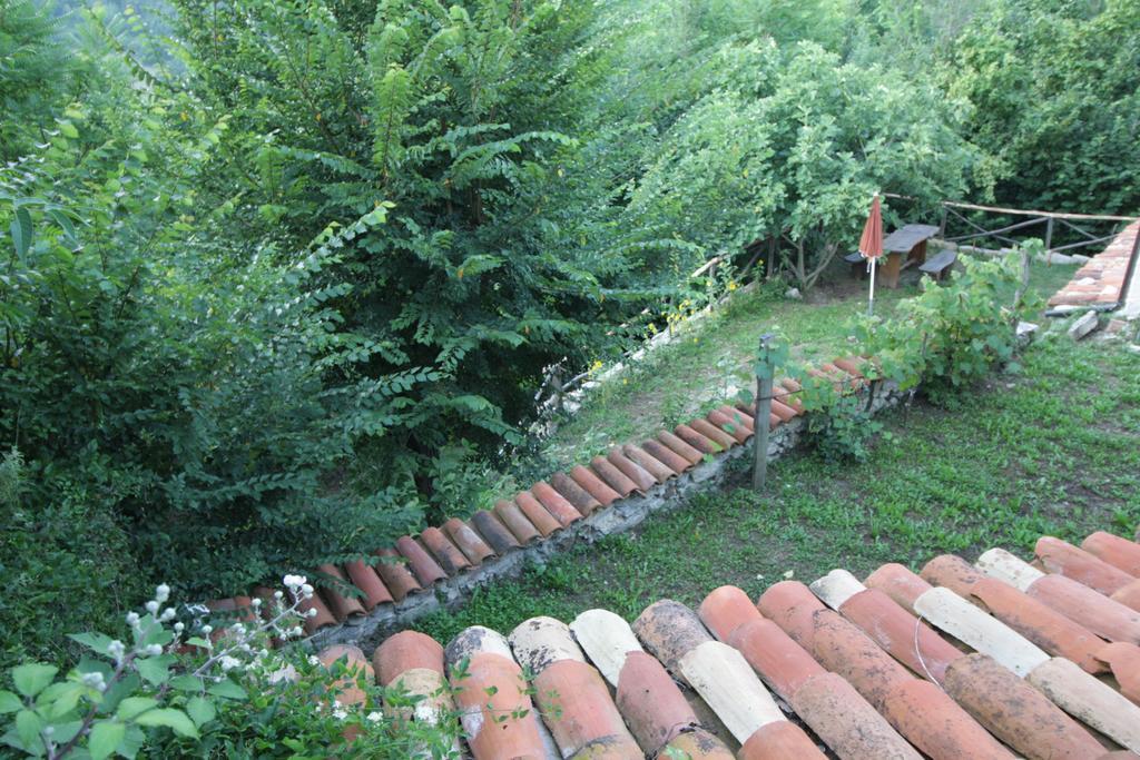 Casa Vacanze Antico Poggio Poggio San Giovanni Экстерьер фото